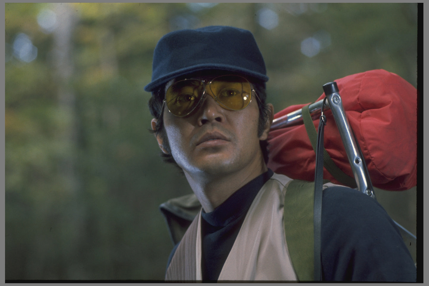 LES MONSTRES DE LA PRÉHISTOIRE