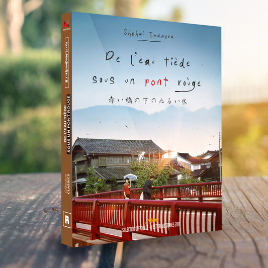 DE L'EAU TIÈDE SOUS UN PONT ROUGE - BLU RAY